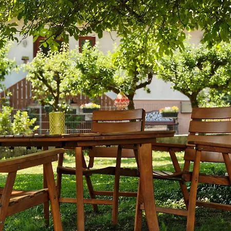 Pfaelzer Auszeit Apartament *